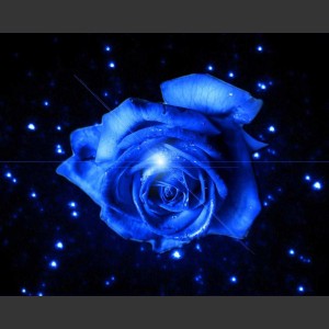 Fodor Attila Csaba édesanyja