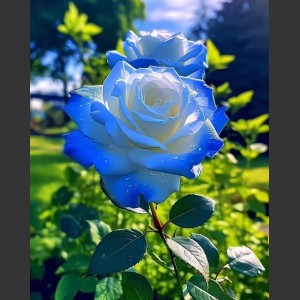 Bassi Rudi édesanyja